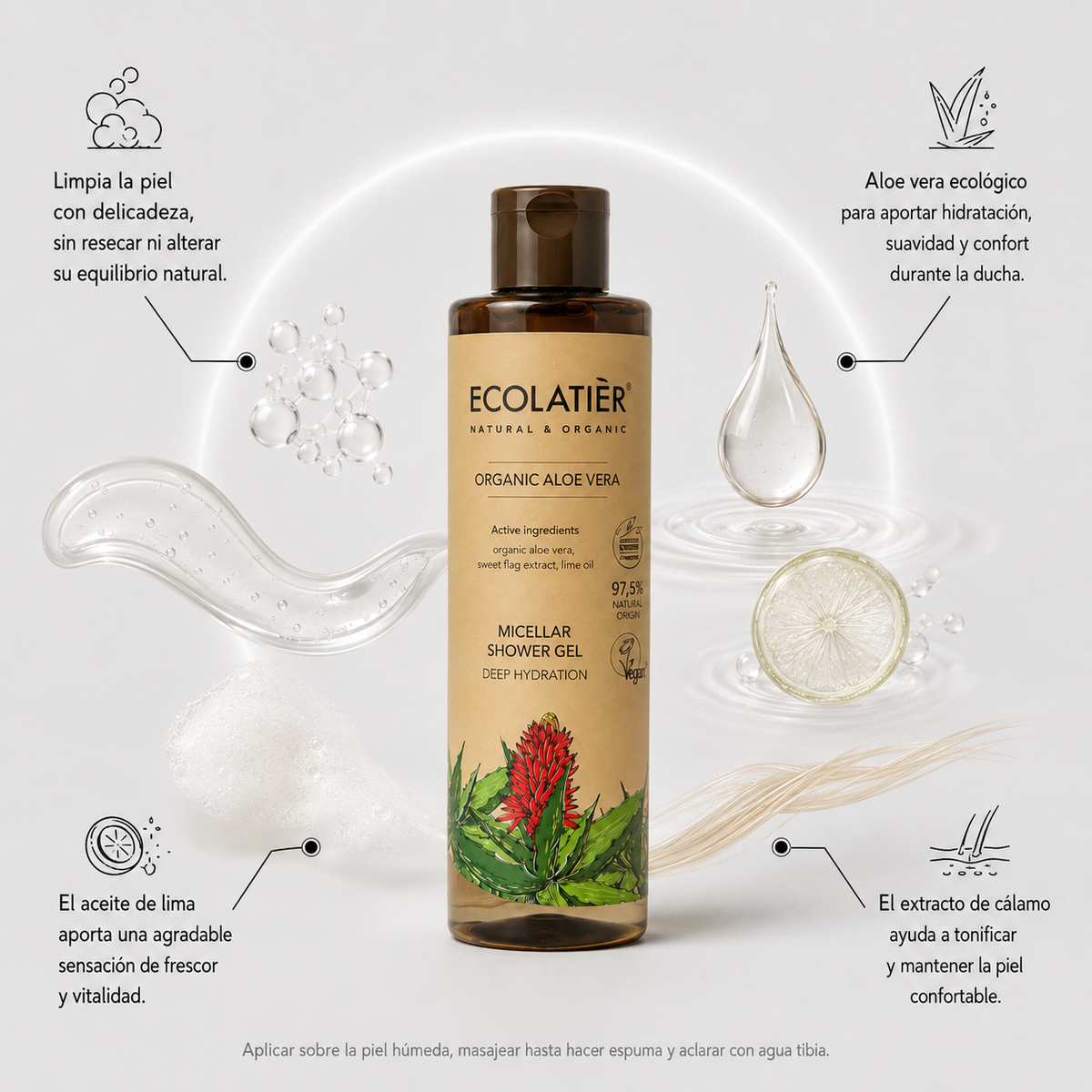 GEL DE DUCHA DE ALOE VERA