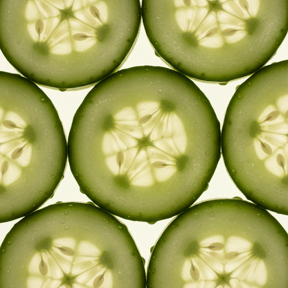 DAYLIGHT - CREMA HIDRATANTE DE DÍA